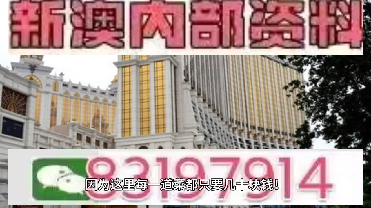 2025新澳精准正版澳门码，词语释义解释落实