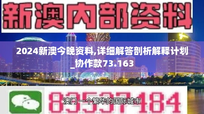 2025新澳今晚资料，词语释义解释落实