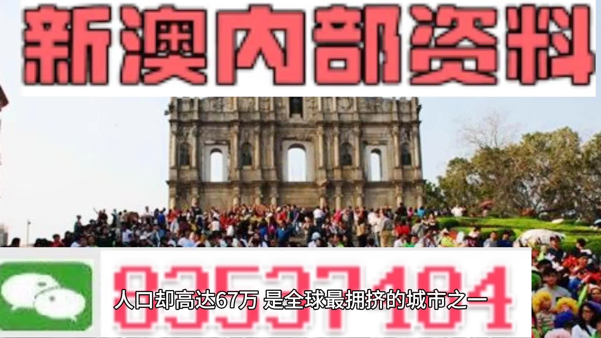 新澳门全年免费的资料，全面释义解释落实