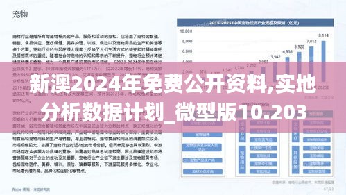 新澳2025年最新版，词语释义与实施路径的深度解析
