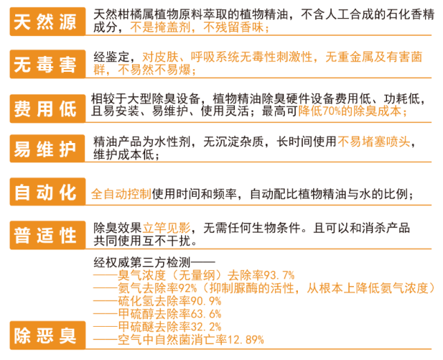 精选解析，落实新澳资料，打造高效学习与工作指南