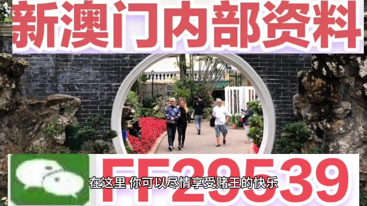 2025澳门特马今晚开什么码，精选解析解释落实